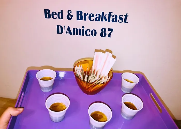 D'amico87 4*